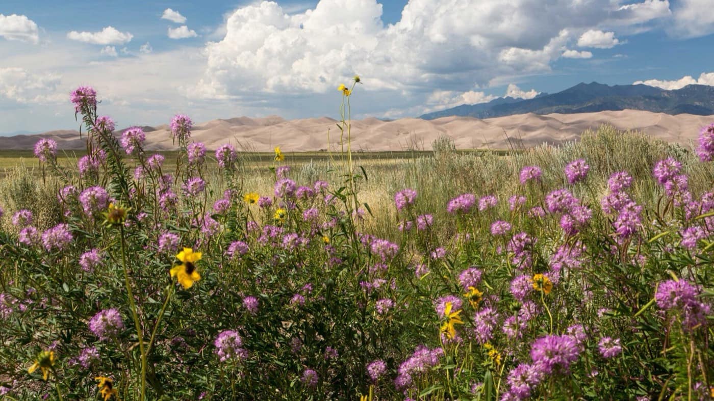 Our Cities Are Fighting Their Own Climate โ And Losing