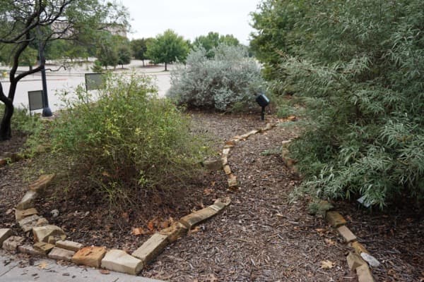 Front Yard Landscaping in Denver: Xeriscape Designs That Improve Curb Appeal
