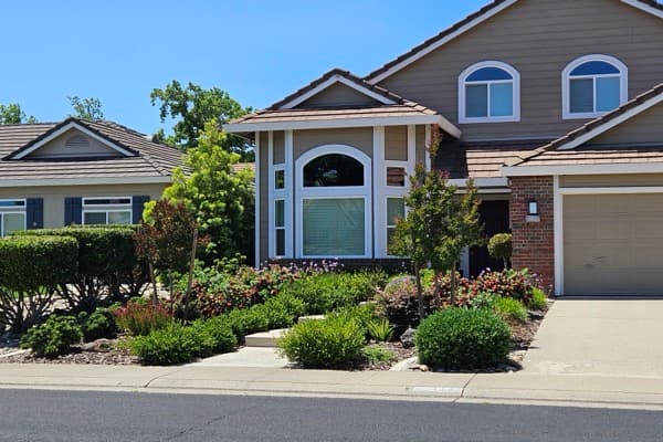Lawn Removal in Denver: Cost, Methods, and What Comes Next