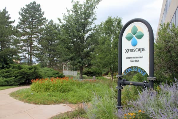 Low-Maintenance Landscaping in Denver: What It Actually Looks Like