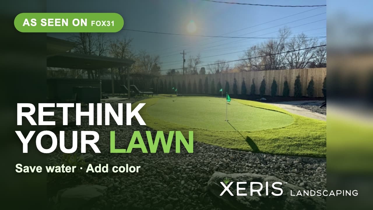 FOX31 — Save Water & Rethink Your Lawn