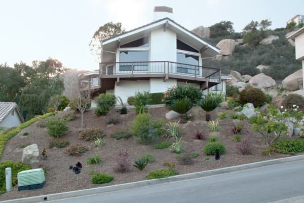 Xeriscape Rebates in Denver: How to Get Money Back for Replacing Your Lawn